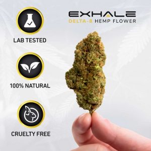 lab tested cruelty frree hemp flower