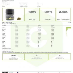 coa skywalker og