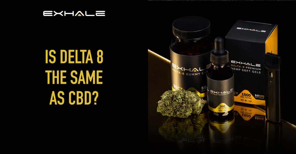 delta 8 vs cbd