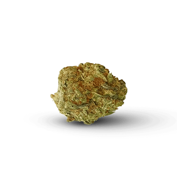 platinum-punch-premium-indoor-small-buds