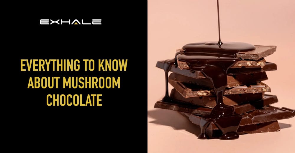 mushroom chocolate