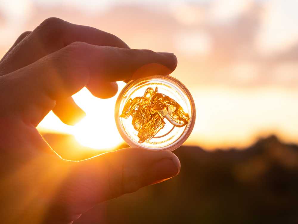 live resin vs rosin petri dish against sun