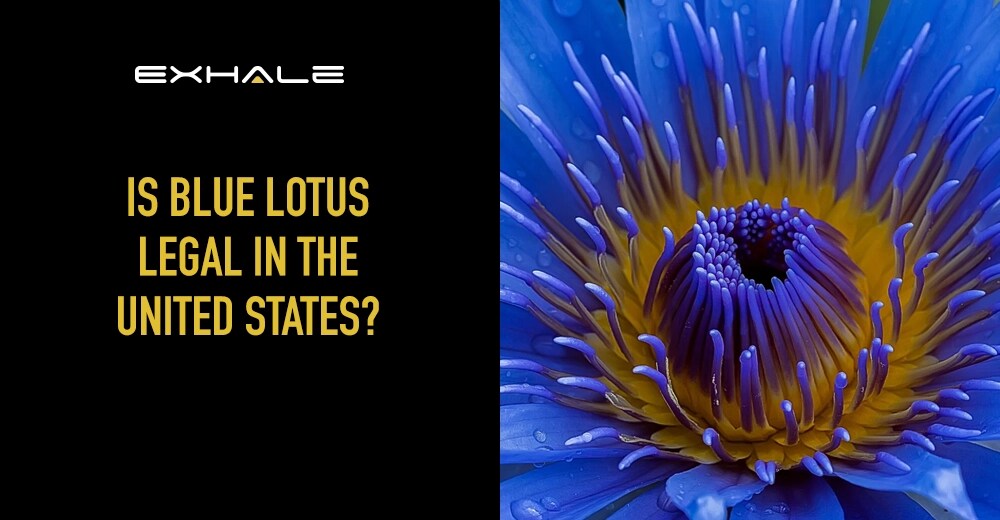 is blue lotus legal