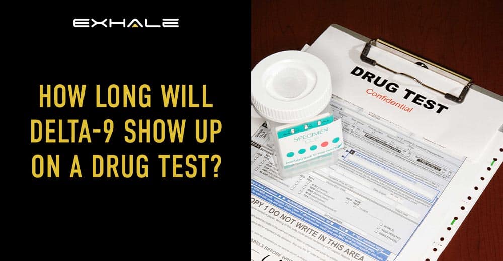 how long will delta 9 show up on a drug test