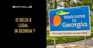 is delta 8 legal in georgia