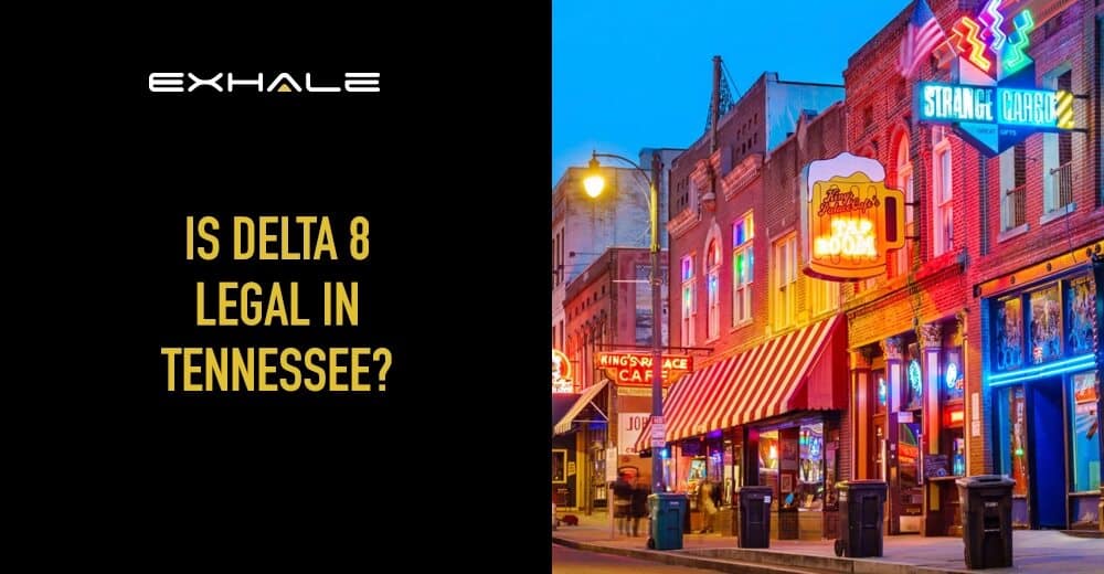 is delta 8 legal in tennessee