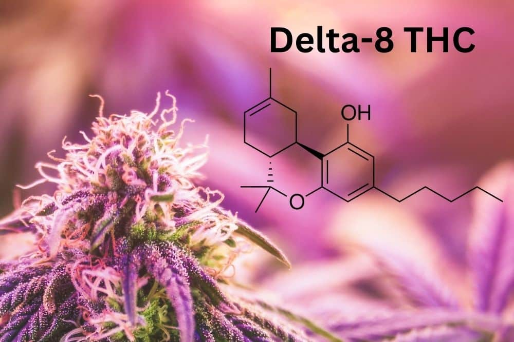 delta 8 thc chemical structure purple cannabis flower background