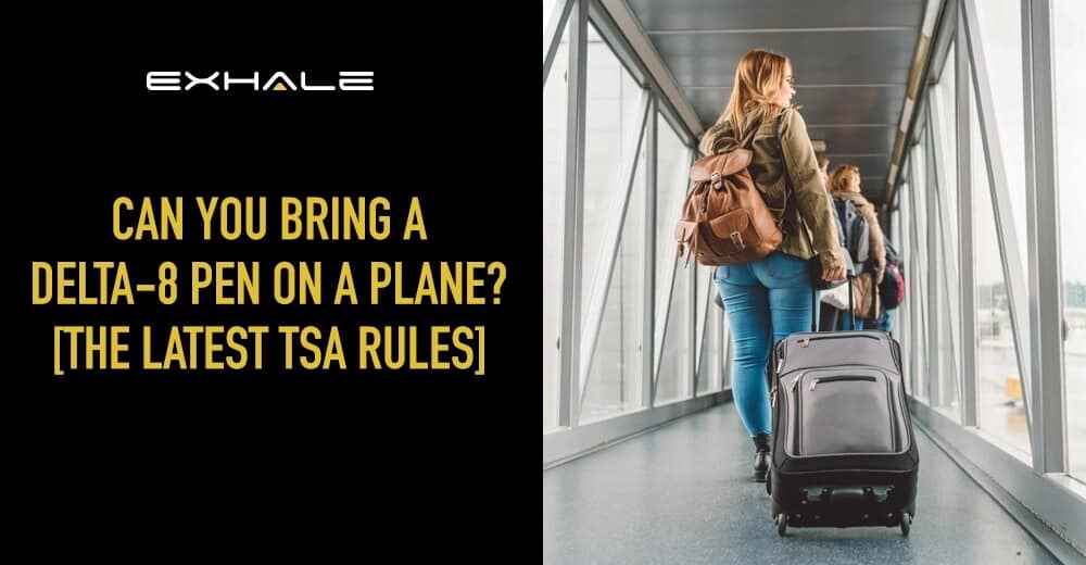 can i bring delta 8 on a plane