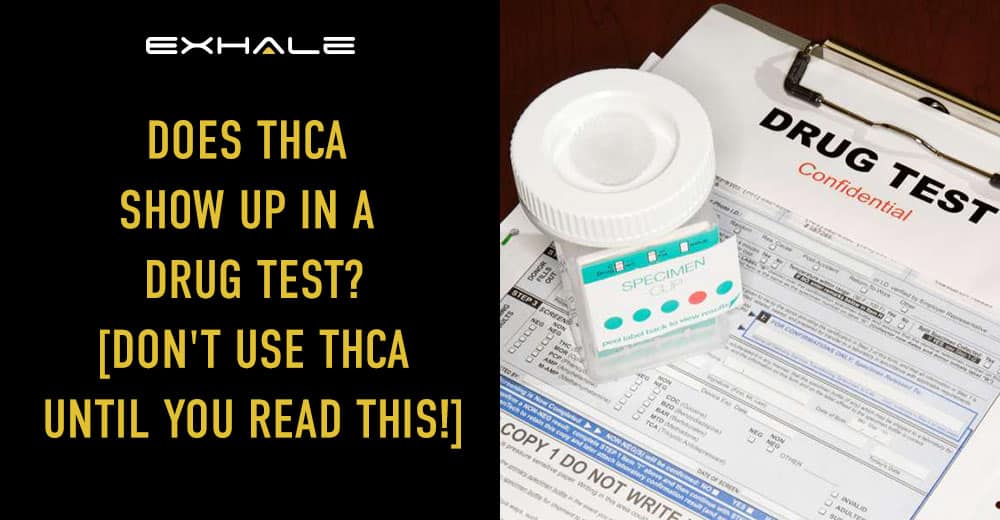 does thca show up in a drug test