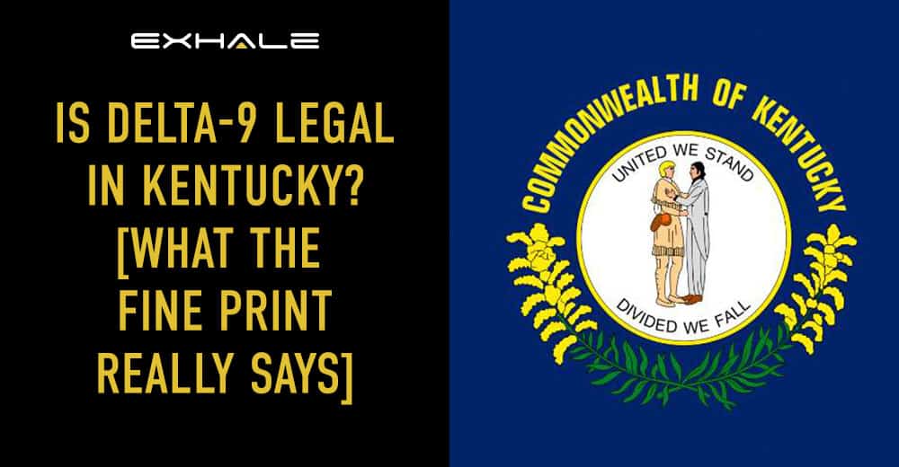 is delta 9 legal in kentucky
