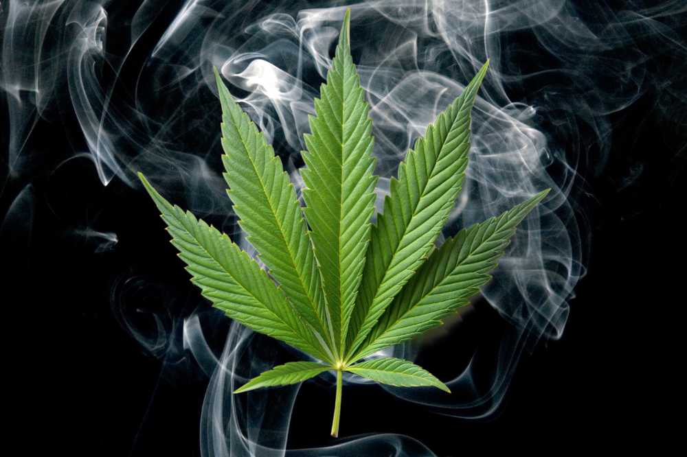 indica leaf against smoke