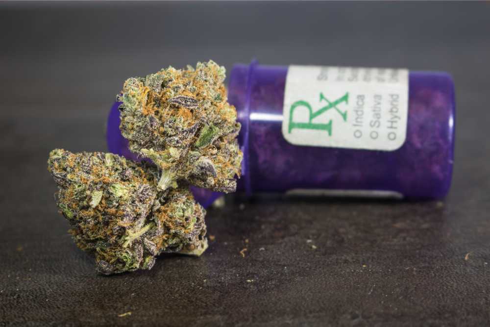 purple hue cannabis medical flower