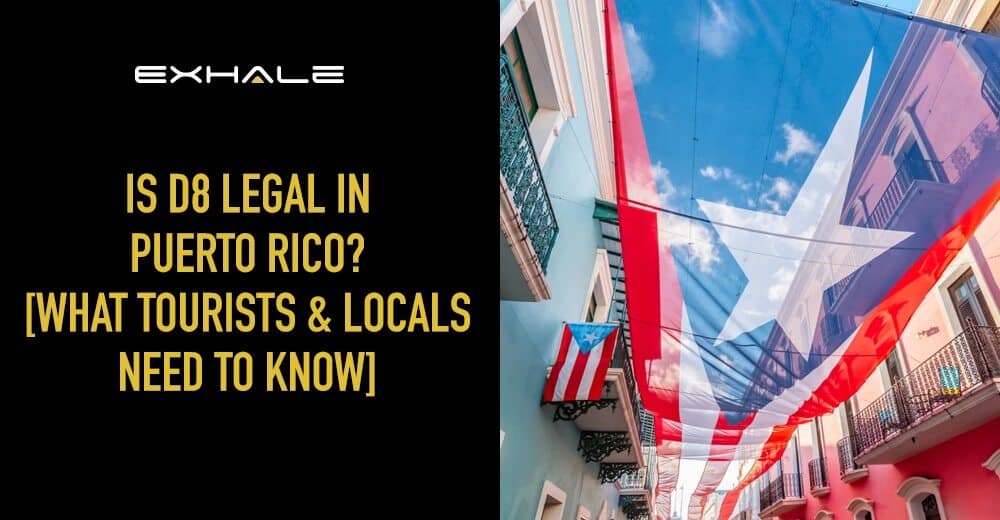 is delta-8 legal in puerto rico