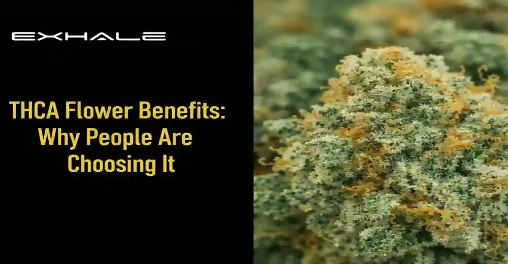 THCA Flower Benefits: Why People Are Choosing It