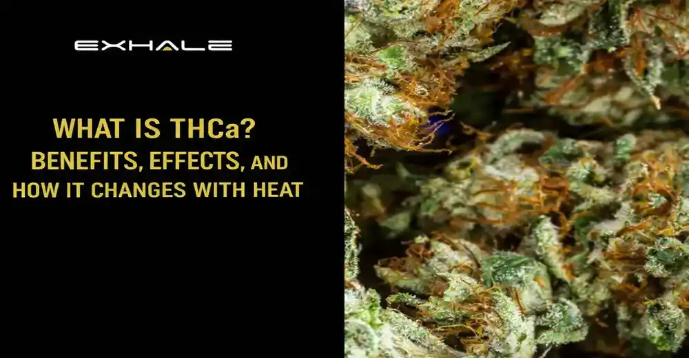 What Is THCa? Benefits, Effects, and How It Changes With Heat
