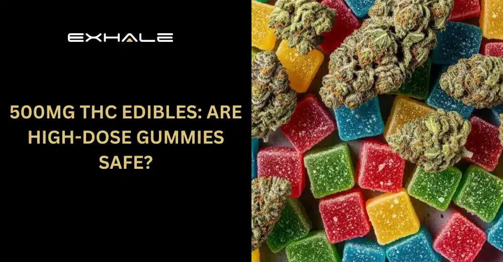 500mg THC Edibles Are High-Dose Gummies Safe