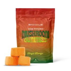 High Potency Mushroom Gummies - Mango