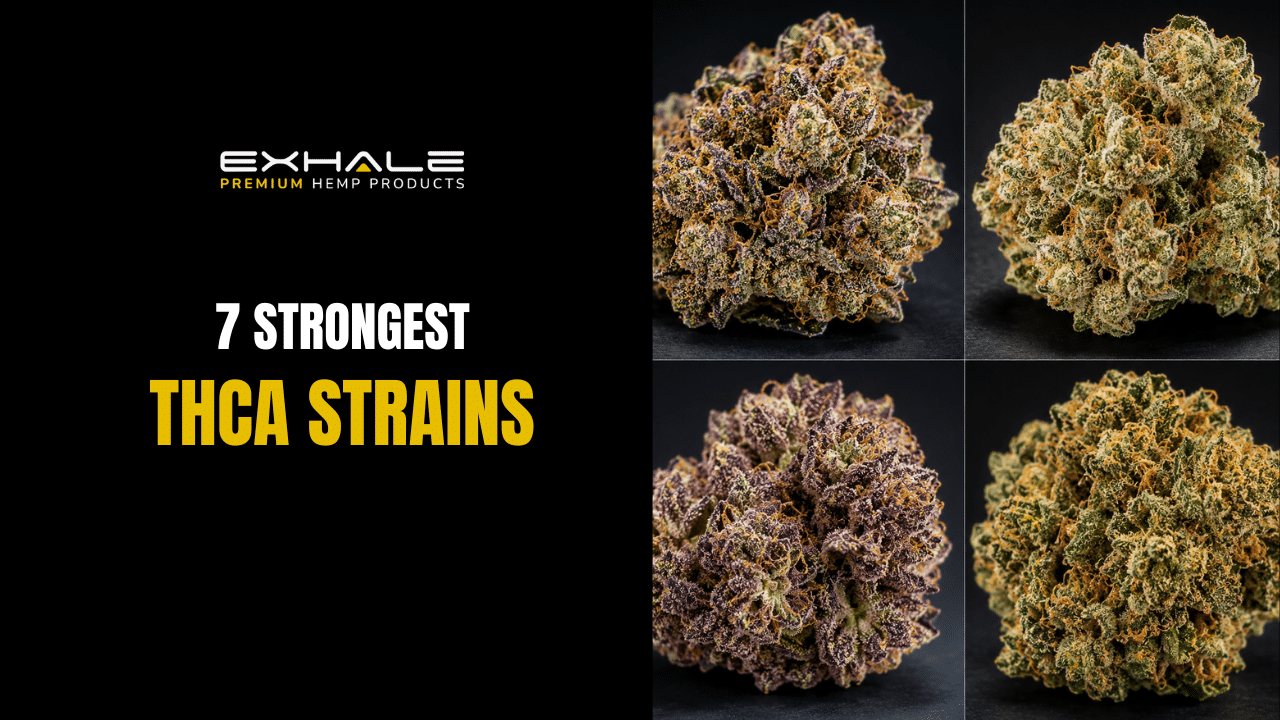 Strongest THCA Strains