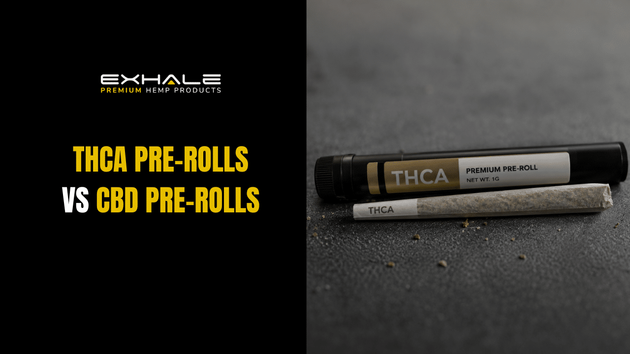 THCA Pre-Rolls vs CBD Pre-Rolls