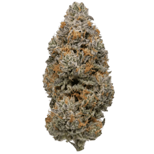 Orange Apricot MAC - THCa Flower