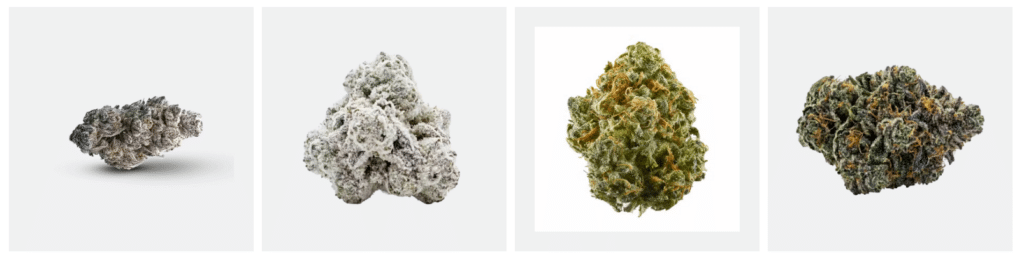 THC Flower