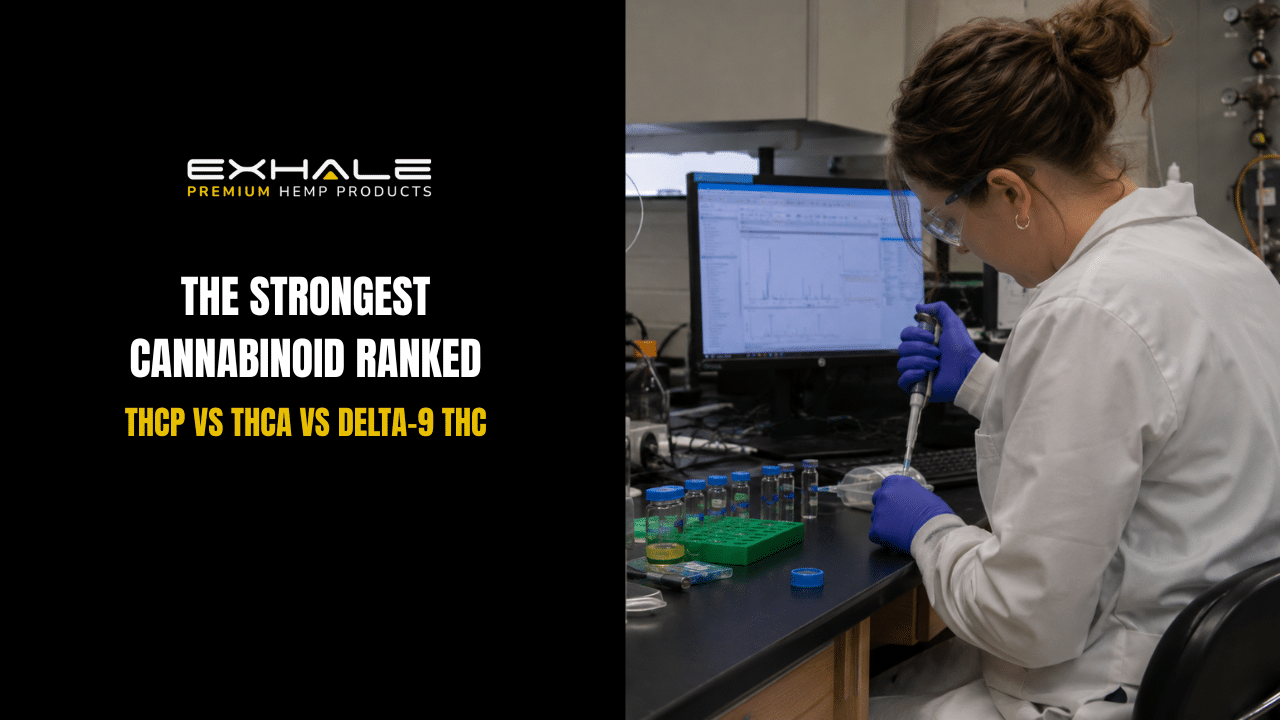 Strongest Cannabinoid Ranked
