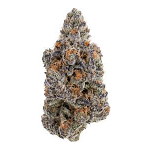 Purple Urkle - THCa Flower